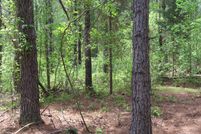 Farm and Ranch in Pickens County, Alabama