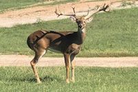 Land in Stonewall County, Texas