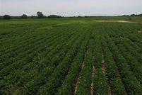 Farm and Ranch in Montgomery County, Kansas
