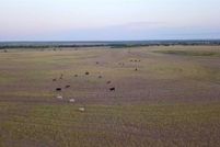 Farm and Ranch in Archer County, Texas