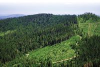 Timberland Property in Benewah County, Idaho