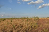 Farm and Ranch in Archer County, Texas