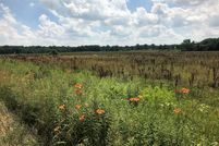 Timberland Property in Allegan County, Michigan
