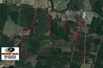 Timberland Property in Accomack County, Virginia