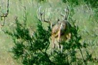 Recreational Property in Mills County, Texas