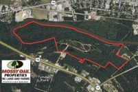 Undeveloped Land in Lenoir County, North Carolina