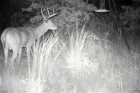 Farm and Ranch in Montague County, Texas