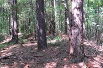 Farm and Ranch in Tuscaloosa County, Alabama