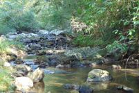 Undeveloped Land in Elmore County, Alabama