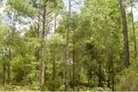 Undeveloped Land in Cumberland County, Virginia