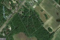 Undeveloped Land in Sussex County, Delaware
