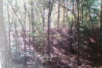 Undeveloped Land in Saline County, Illinois