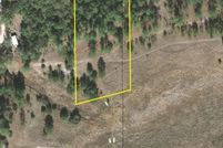 Undeveloped Land in Putnam County, Florida