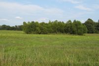 Undeveloped Land in Jefferson County, Illinois