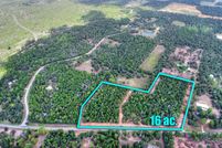 Undeveloped Land in Colorado County, Texas