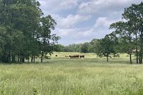 Undeveloped Land in Howell County, Missouri