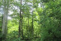 Land in Van Buren County, Tennessee