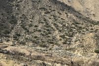 Land in Kern County, California