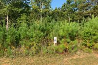 Undeveloped Land in Union County, Georgia