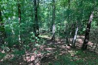 Undeveloped Land in Union County, Georgia