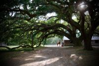 Timberland Property in Beaufort County, South Carolina