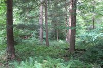 Recreational Property in Allegany County, New York