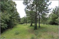 Recreational Property in Winston County, Mississippi