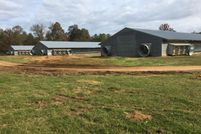 Undeveloped Land in Walthall County, Mississippi