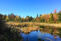 Undeveloped Land in Franklin County, New York