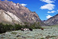 Recreational Property in Park County, Wyoming
