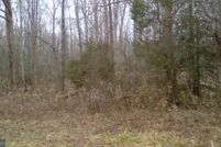 Undeveloped Land in Caroline County, Virginia