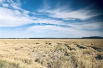 Land in White County, Arkansas