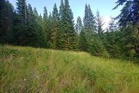 Timberland Property in Idaho County, Idaho