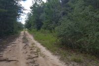 Undeveloped Land in Putnam County, Florida