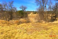 Undeveloped Land in Palo Pinto County, Texas