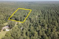 Undeveloped Land in Montgomery County, Texas