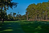 Undeveloped Land in Monterey County, California