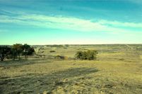 Undeveloped Land in Palo Pinto County, Texas