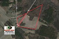 Undeveloped Land in Halifax County, North Carolina