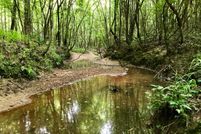 Recreational Property in Franklin County, Mississippi