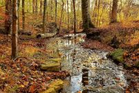 Farm and Ranch in Butler County, Kentucky