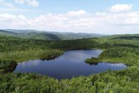 Undeveloped Land in Orleans County, Vermont