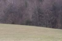 Land in Lynchburg City County, Virginia