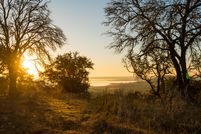 Timberland Property in Bell County, Texas