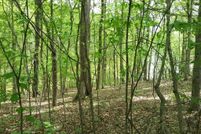 Land in Wayne County, Tennessee