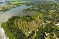 Undeveloped Land in Polk County, Florida