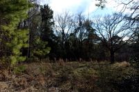 Undeveloped Land in Harrison County, Texas