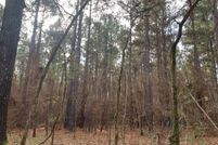 Land in Marion County, Texas