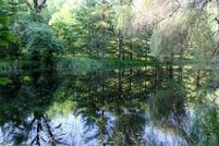 Undeveloped Land in Marquette County, Wisconsin