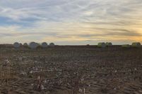 Hunting Property in Pratt County, Kansas